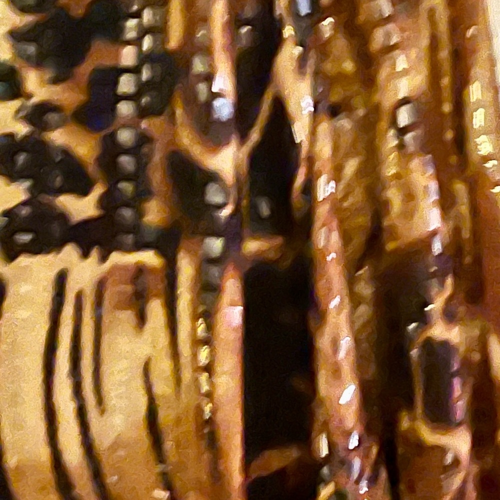 Ruby Rd. Animal Print Jacket with Sequins - Brown… - image 3